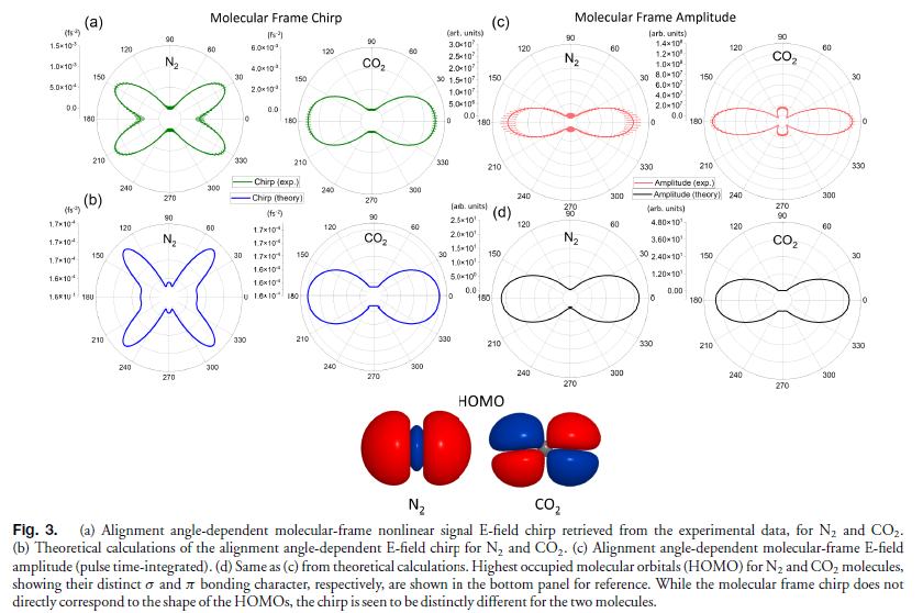 Field observables reveal electronic symmetries in molecules 